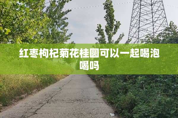 红枣枸杞菊花桂圆可以一起喝泡喝吗