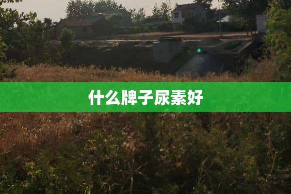 什么牌子尿素好
