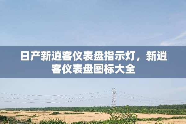 日产新逍客仪表盘指示灯，新逍客仪表盘图标大全