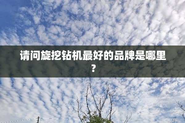 请问旋挖钻机最好的品牌是哪里？