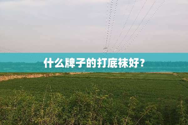 什么牌子的打底袜好？