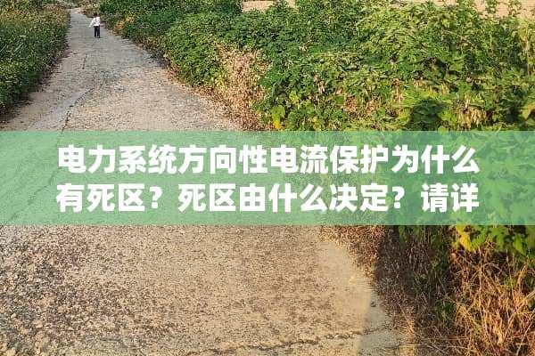 电力系统方向性电流保护为什么有死区？死区由什么决定？请详细解释一下，谢谢。