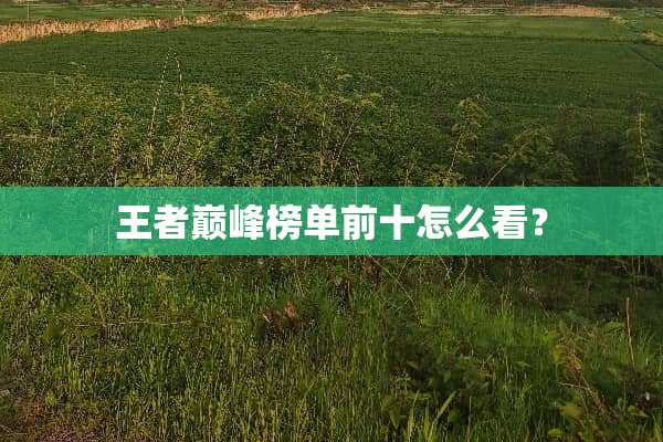 王者巅峰榜单前十怎么看？