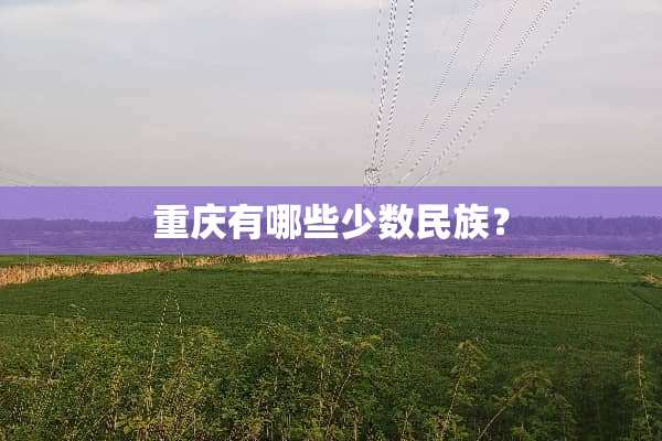 重庆有哪些少数民族？