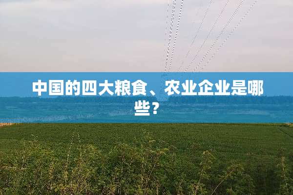 中国的四大粮食、农业企业是哪些？