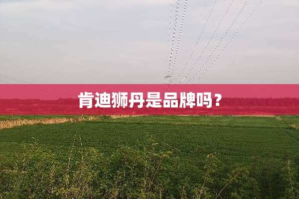 肯迪狮丹是品牌吗？