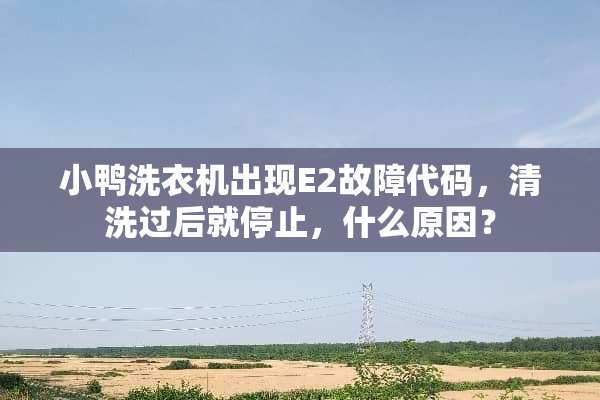 小鸭洗衣机出现E2故障代码，清洗过后就停止，什么原因？