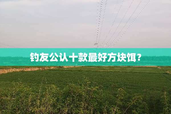 钓友公认十款最好方块饵？