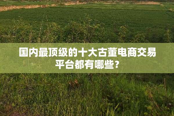 国内最**的十大古董电商交易平台都有哪些？