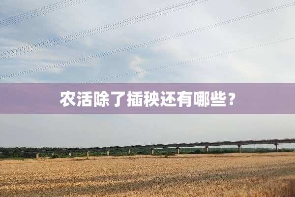 农活除了插秧还有哪些？