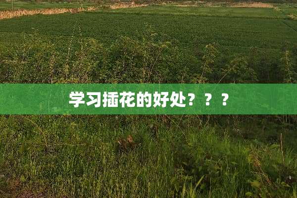 学习插花的好处？？？