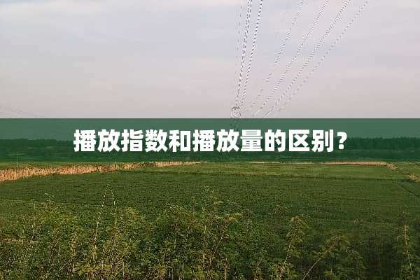 播放指数和播放量的区别？