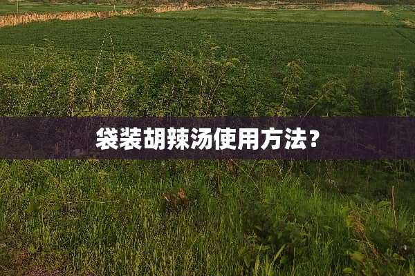 袋装胡辣汤使用方法？