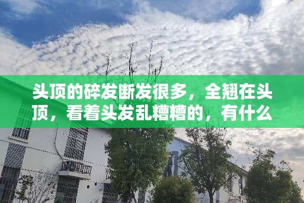 头顶的碎发断发很多，全翘在头顶，看着头发乱糟糟的，有什么解决方法吗？
