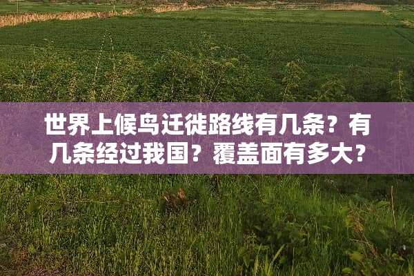 世界上候鸟迁徙路线有几条？有几条经过我国？覆盖面有多大？