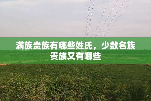 满族贵族有哪些姓氏，少数名族贵族又有哪些