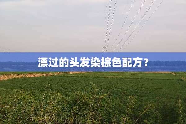 漂过的头发染棕色配方？
