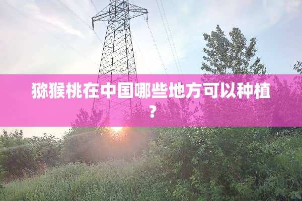 猕猴桃在中国哪些地方可以种植？