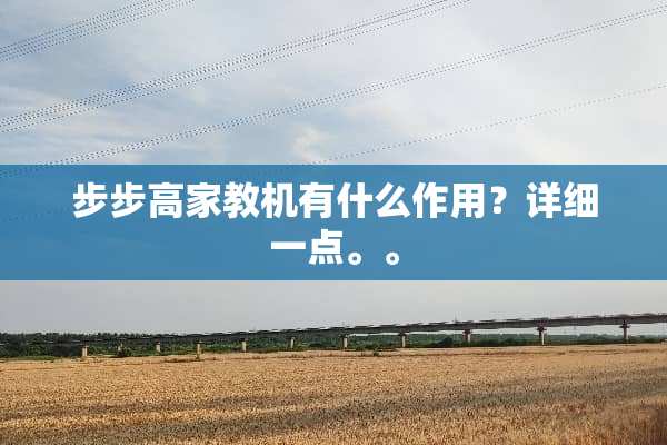 步步高家教机有什么作用？详细一点。。