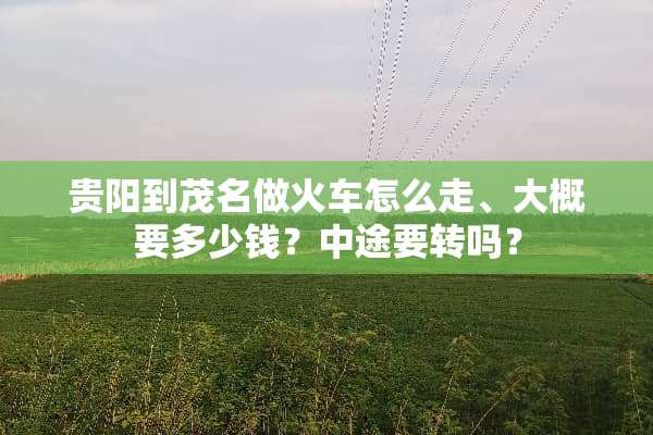 贵阳到茂名做火车怎么走、大概要多少钱？中途要转吗？
