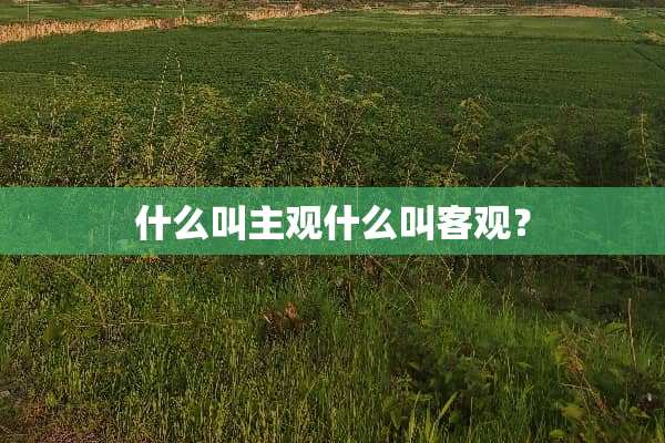 什么叫主观什么叫客观？
