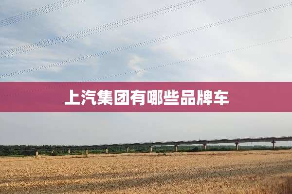 上汽集团有哪些品牌车