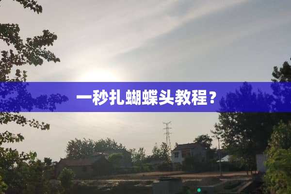 一秒扎蝴蝶头教程？