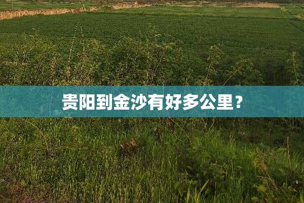 贵阳到金沙有好多公里？