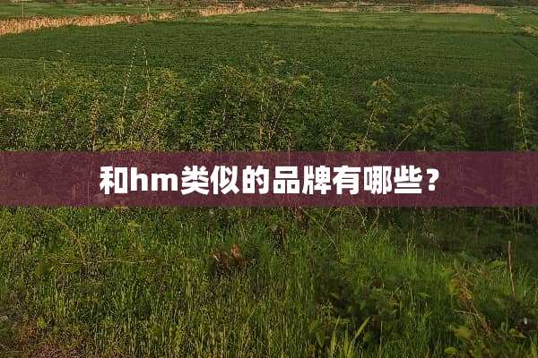 和hm类似的品牌有哪些？