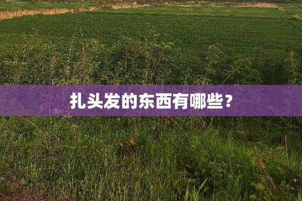扎头发的东西有哪些？
