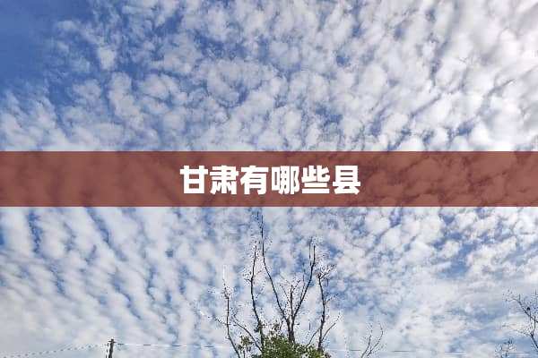 甘肃有哪些县