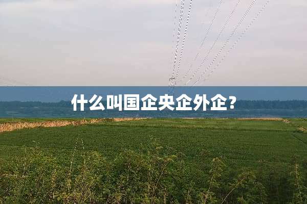 什么叫国企央企外企？
