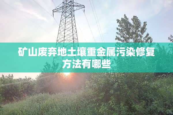 矿山废弃地土壤重金属污染修复方法有哪些
