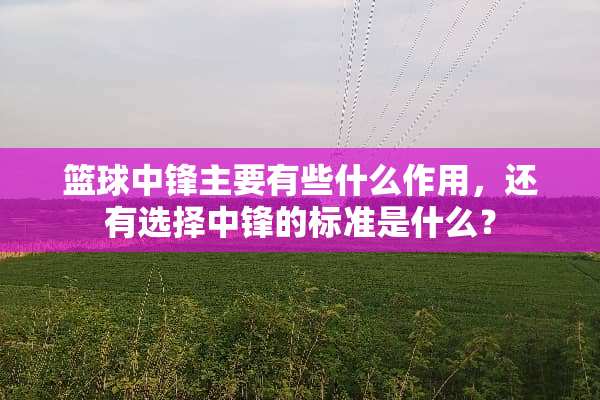 篮球中锋主要有些什么作用，还有选择中锋的标准是什么？