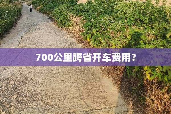 700公里跨省开车费用？