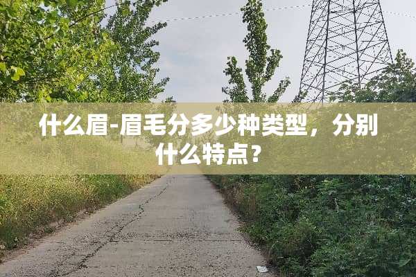 什么眉-眉毛分多少种类型，分别什么特点？