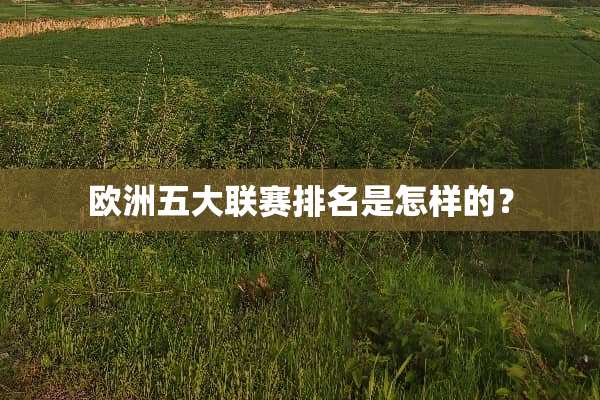 欧洲五大联赛排名是怎样的？