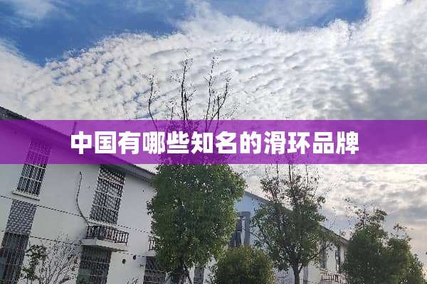 中国有哪些知名的滑环品牌