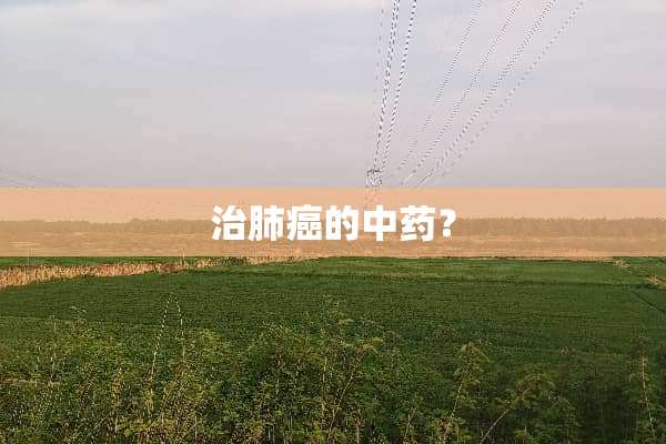 治肺癌的中药？