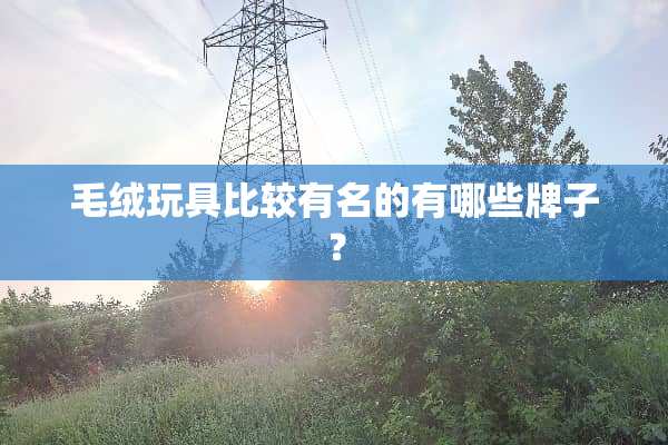 毛绒玩具比较有名的有哪些牌子？