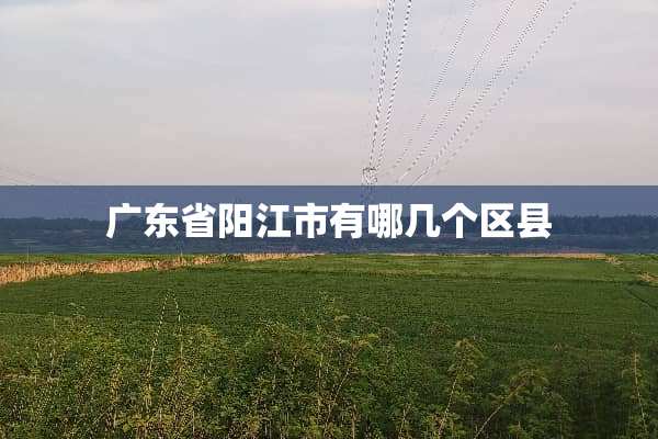 广东省**市有哪几个区县