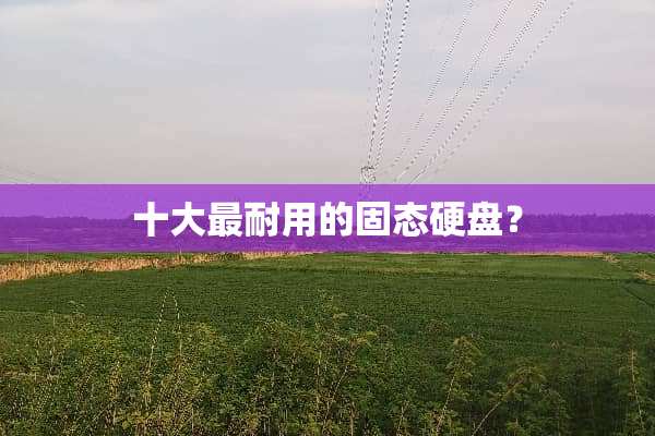 十大最耐用的固态硬盘？