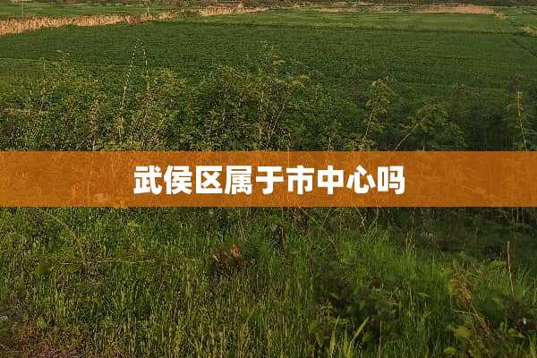 武侯区属于市中心吗