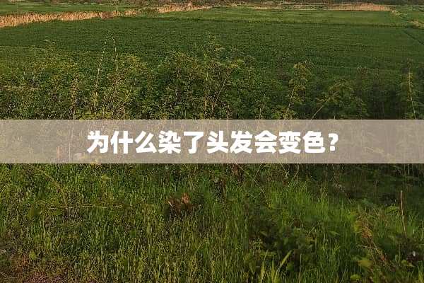 为什么染了头发会变色？
