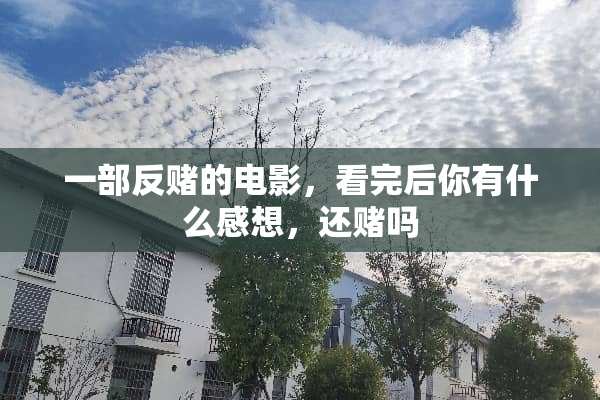 一部反赌的电影，看完后你有什么感想，还赌吗