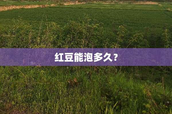 红豆能泡多久？