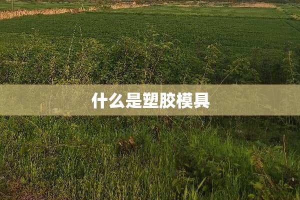 什么是塑胶模具