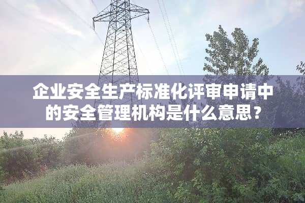企业安全生产标准化评审申请中的安全管理机构是什么意思？