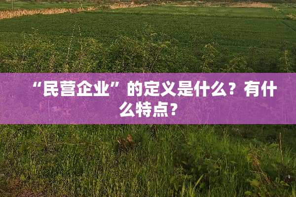 “民营企业”的定义是什么？有什么特点？