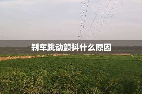 刹车跳动颤抖什么原因